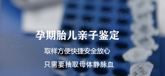 黑龙江胎儿亲子鉴定大概收费,