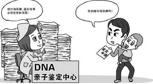 黑龙江匿名亲子鉴定收费多少钱,黑龙江隐私亲子鉴定需要的材料